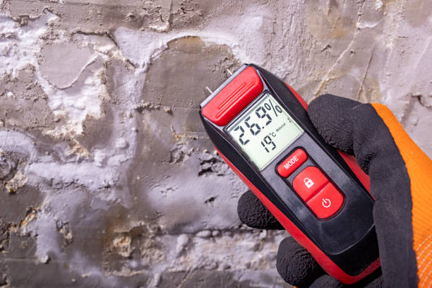 Best Residential Mold Removal  in Centennial, CO