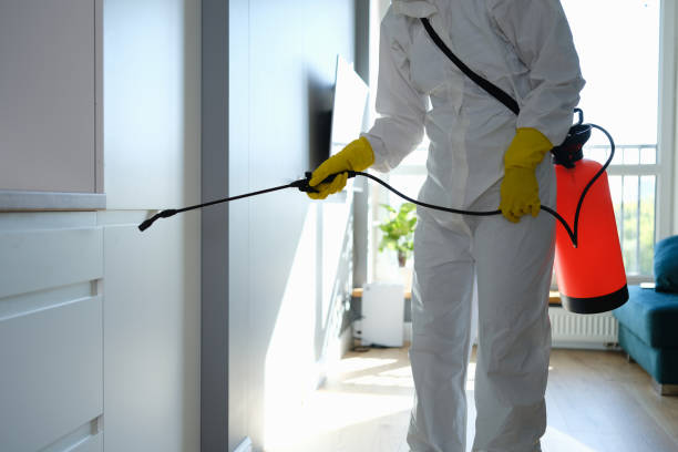 Best Toxic Mold Removal  in Centennial, CO