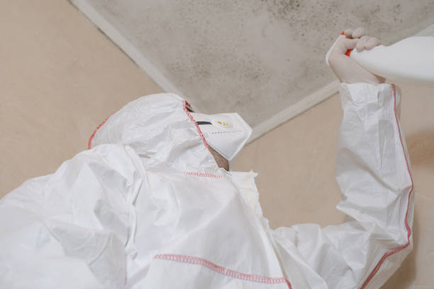 Best Commercial Mold Removal  in Centennial, CO