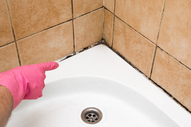 Best Mold Cleaning Services  in Centennial, CO